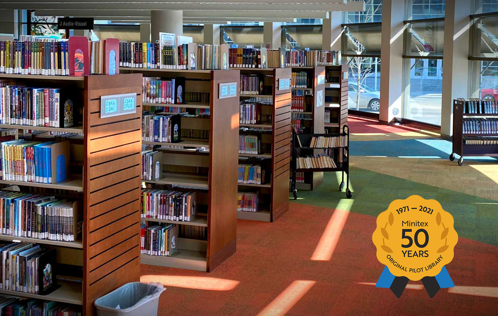 Partner profile Rochester Public Library Minitex